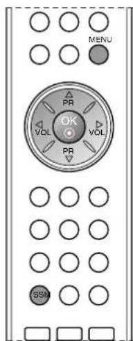 LG 15LS1R - Justere lyden - 3
