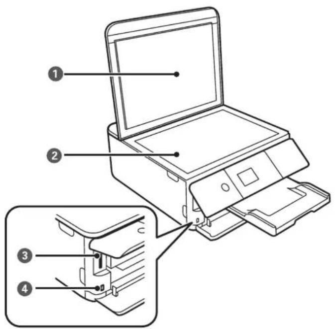 EPSON Expression Premium XP-6105 - Printerens basisfunktioner - 1