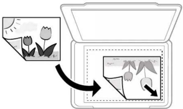 EPSON Expression Home XP-355 - Vigtigt: - 2