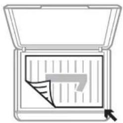 EPSON Expression Home XP-355 - Placering af originaler til 2-sidet layout - 1