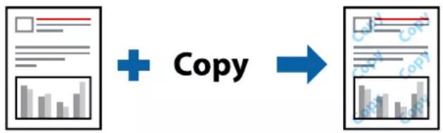 EPSON WorkForce Pro WF-C8190 - Udskrivning af et vandmærke - 1