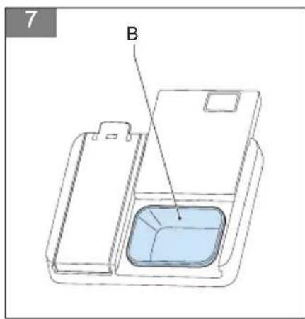 7 B