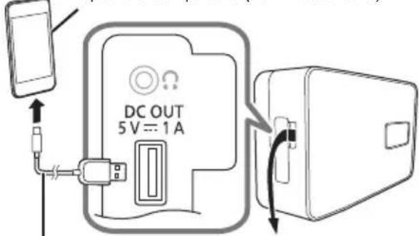 PANASONIC RF-D30BT - Carica di un dispositivo - 1