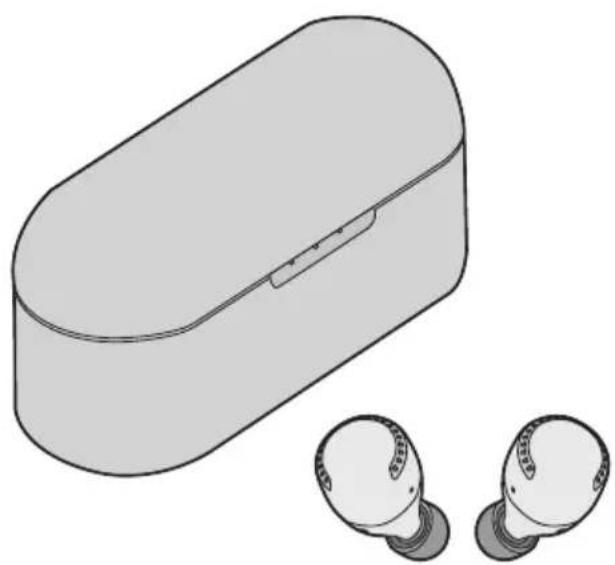 PANASONIC RZ-S500W - Betjeningsvejledning - 1