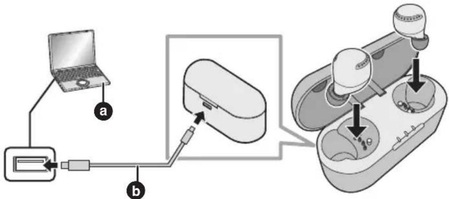 PANASONIC RZ-S500W - Brug USB-opladerkabel (medfølger) for at oplade øretelefonerne og opladningsholderen - 1