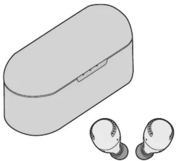 PANASONIC RZ-S300W - Betjeningsvejledning - 1