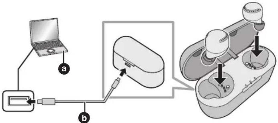 PANASONIC RZ-S300W - Brug USB-opladerkabel (medfølger) for at oplade øretelefonerne og opladningsholderen - 1