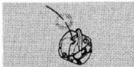 LEWENSTEIN Amazone 570 - VERHELPEN VAN KLEINE STORINGEN - 2