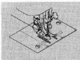 LEWENSTEIN Amazone 570 - VERHELPEN VAN KLEINE STORINGEN - 1