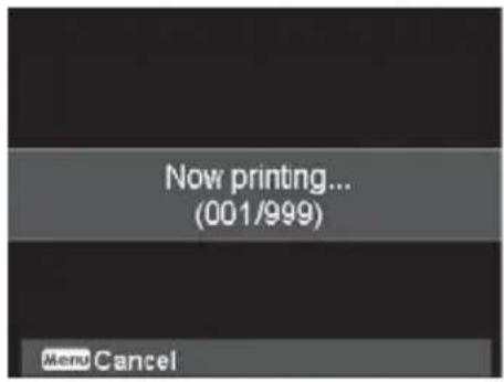 Now printing... (001/999) Menu Cancel