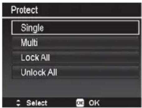 Protect Single Multi Lock All Unlock All Select OK OK