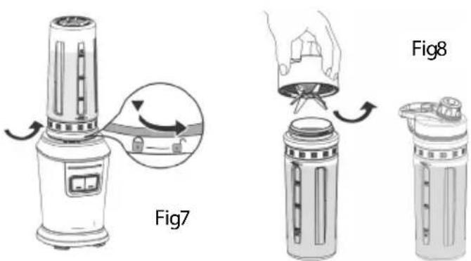 Fig7 Fig8