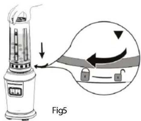 Fig5