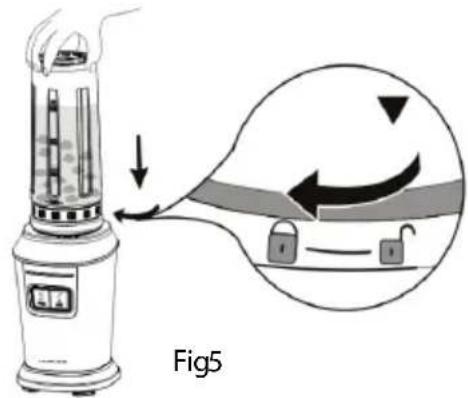Fig5