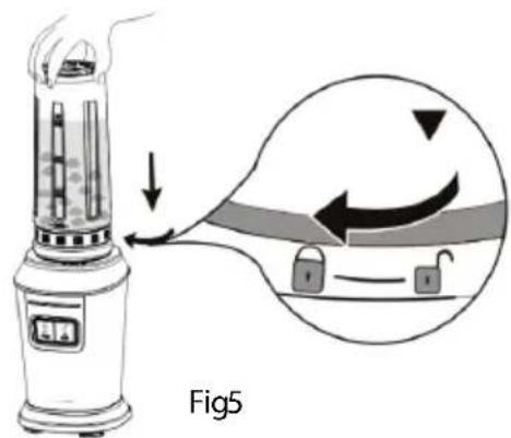 Fig5