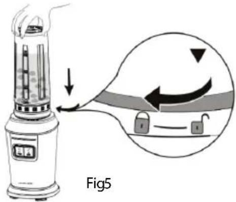 Fig5