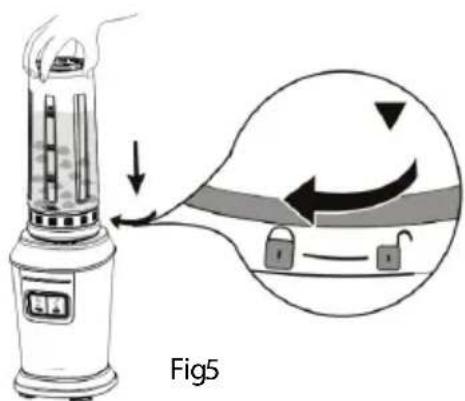 Fig5