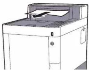 KYOCERA ECOSYS P7040cdn - Multifunktionsbakke - 7