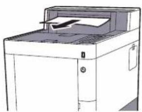 KYOCERA ECOSYS P7040cdn - Multifunktionsbakke - 6