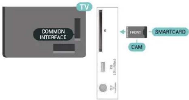 PHILIPS 24PFS5525 - Smartkort - 2