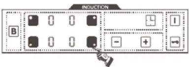 INDUCTION B