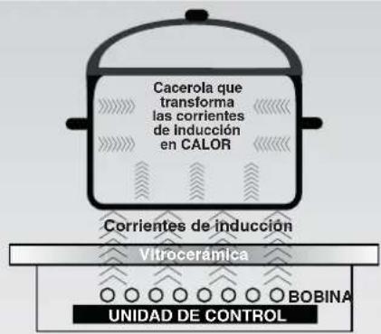 Cacerola que transforma las corrientes de inducción en CALOR Corrientes de inducción Vitrocerámica UNIDAD DE CONTROL BOBINA