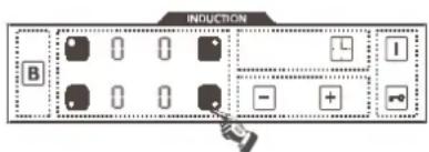 INDUCTION B
