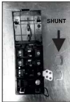 SHUNT