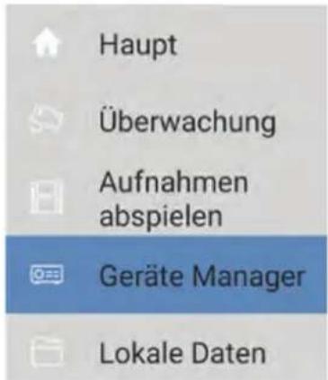 Haupt Überwachung Aufnahmen abspielen Geräte Manager Lokale Daten