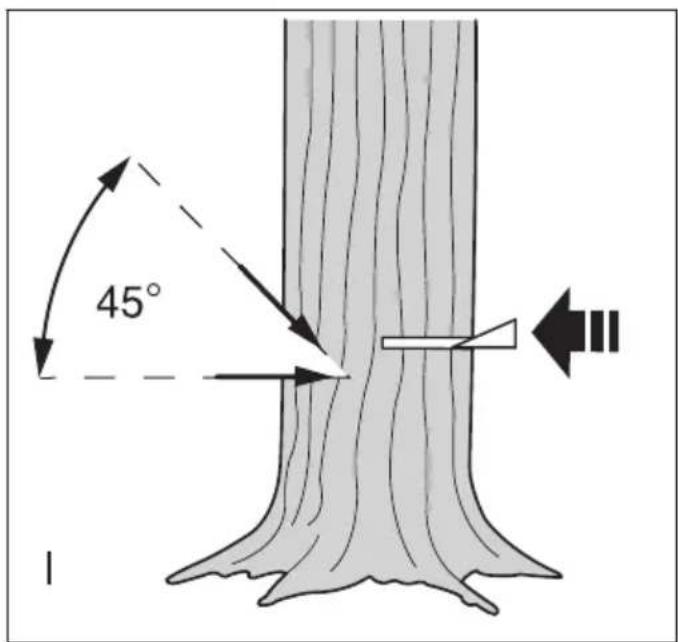 45° I