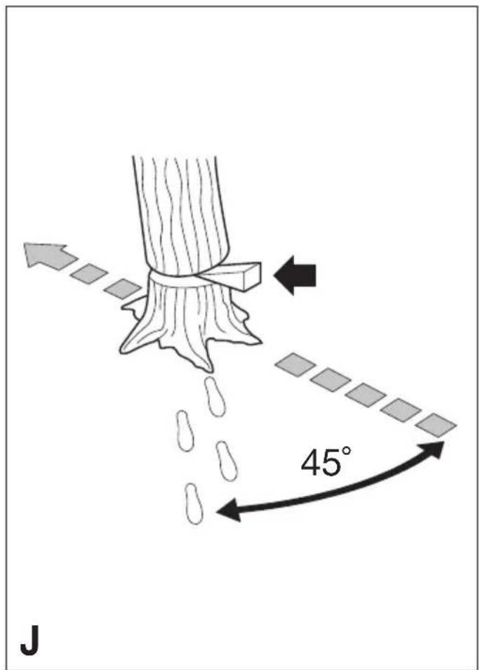 45° J