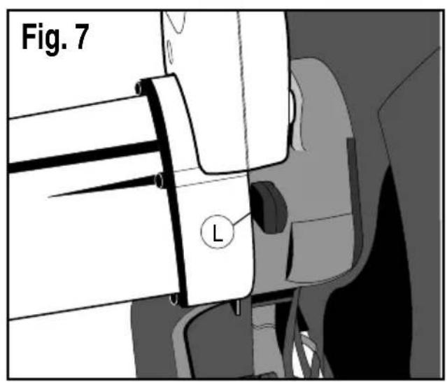 Fig. 7 L