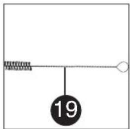 19