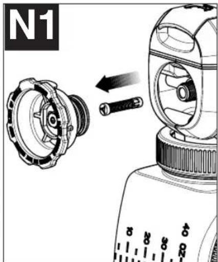 N1