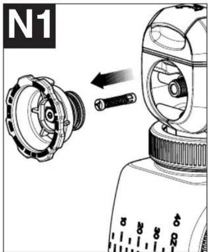 N1