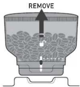 REMOVE