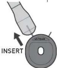 INSERT STEAM