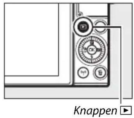 NIKON 1 J5 - Valg af bedste billede - 1