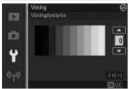 NIKON 1 J5 - Visningslysstyrke - 1
