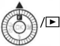 NIKON 1 J5 - Visning af video - 6
