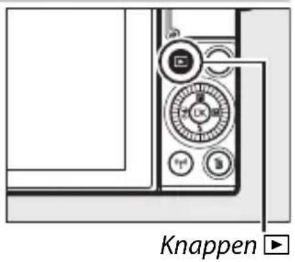 NIKON 1 J5 - Visning af snapshots med video - 1