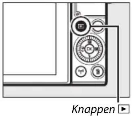 NIKON 1 J5 - Gennemsyn af billeder - 1