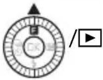 NIKON 1 J5 - ■Visning af panoramabilleder - 8