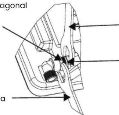 agonal a