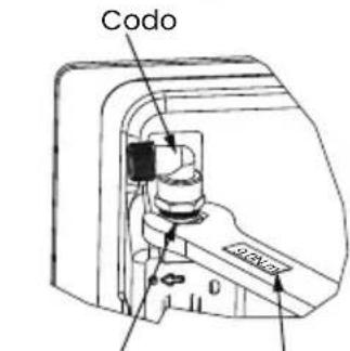 Codo