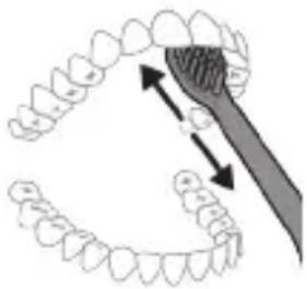 Diagram illustrating dental tool application on upper teeth with magnified view of tooth structure