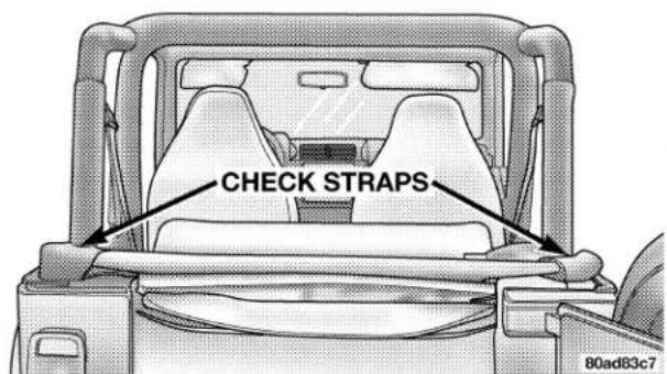 CHECK STRAPS 80ad83c7