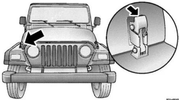 JEEP Wrangler TJ (2005) - TOOPENANDCLOSETHEHOOD - 1