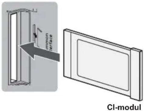 immun interface Cl-modul