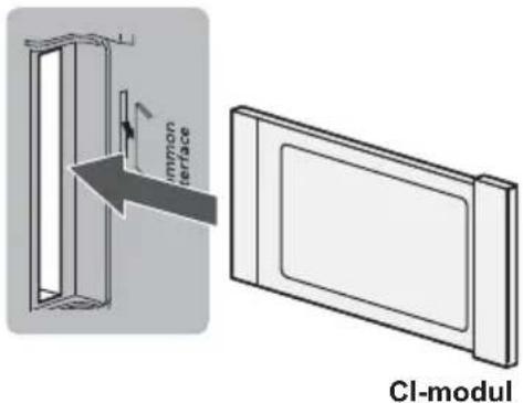 immun interface CI-modul